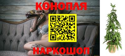 СК Краснознаменск