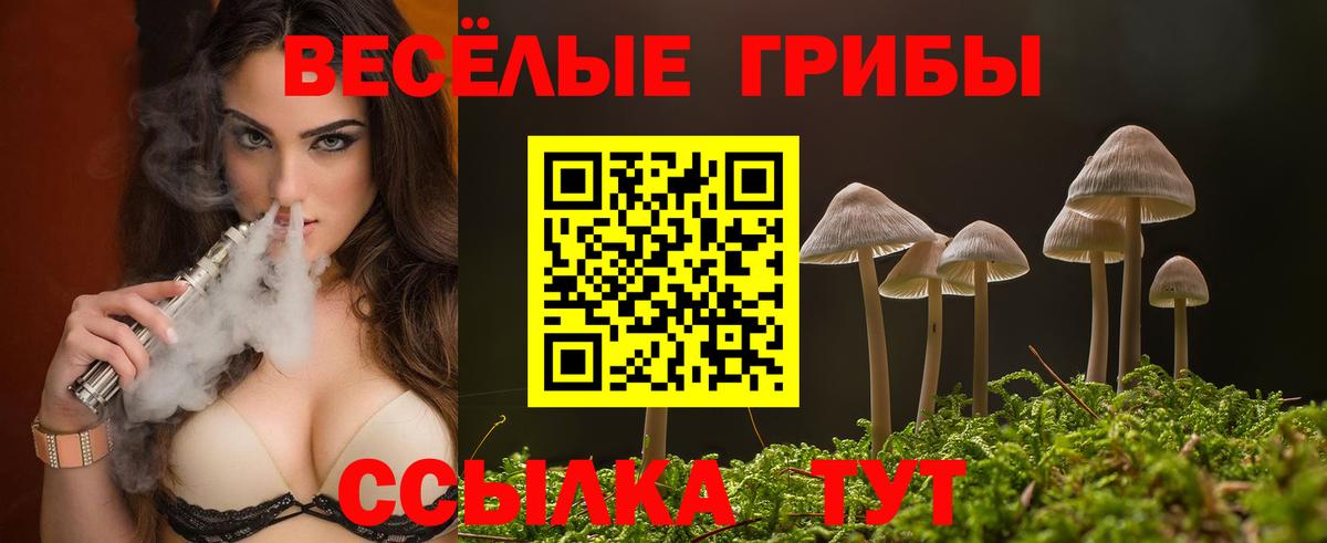 Псилоцибиновые грибы MAGIC MUSHROOMS  Вход с VPN  Галлюциногенные грибы Psilocybe  Гусь-Хрустальный 